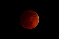 Lunar Eclipse Sequence, near midnight April 14-15, 2014