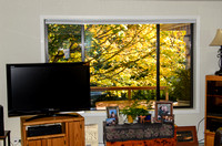 Fall Colors on the Back Deck