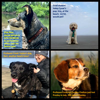 Presley Photos for International Dog Day, Aug 26