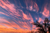 Corvallis sunset, Dec 8