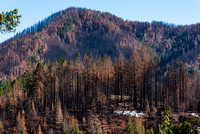 Aftermath of Lionshead and Beachie Creek Fires, Oct 25