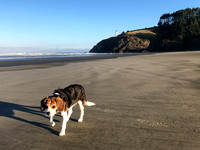 Cape Disappointment & Cape Lookout with Presley, Oct 6-8