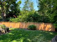 Privacy Fence