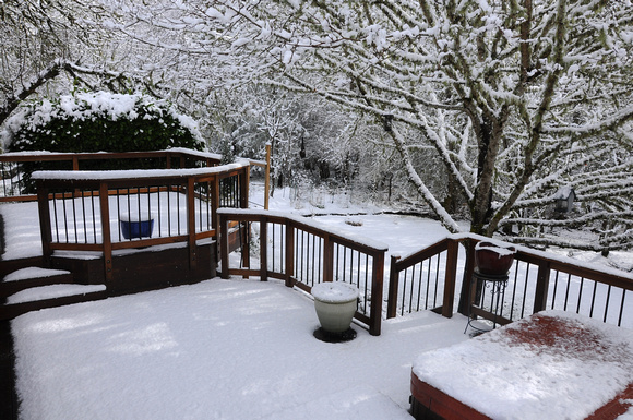 Welcome home from Maui: Snow on the back porch