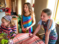 Amalia 11th Birthday Party, Feb 8