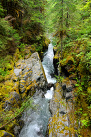 Opal Creek, June 22-23, 2010