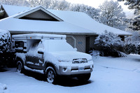 Corvallis Snow, Feb 24