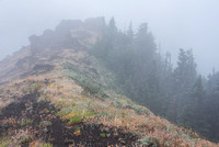 Cone Peak, July 29