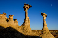 Bisti Badlands, June 11-12